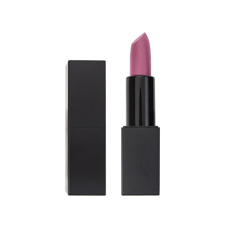 MetaCNBeautyPrivateLabelLipstick shade No.10