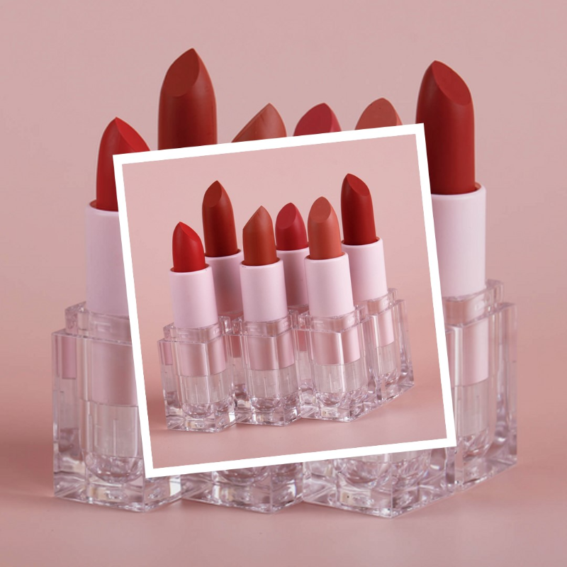 Private label matte velvet lipstick 6PCS