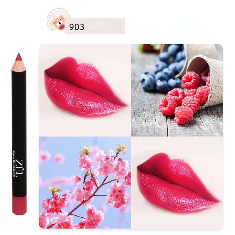 Waterproof and sweatproof matte velvet mist 3D makeup lip liner