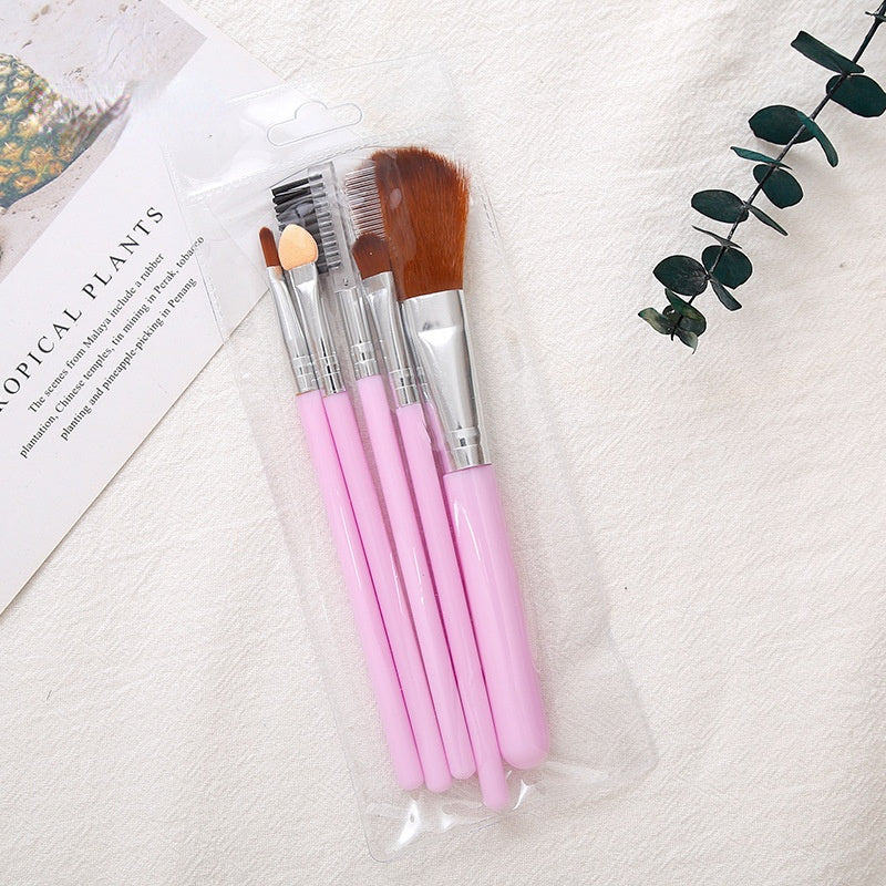 5 Pieces Makeup Brushes Set