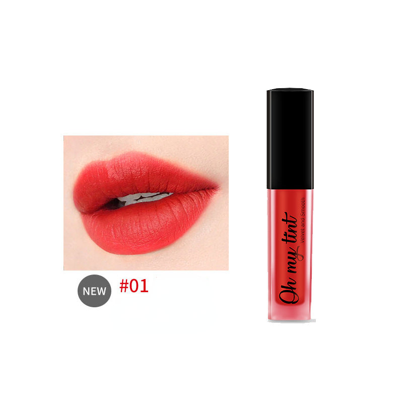 Matte Velvet Nonstick Lip Gloss