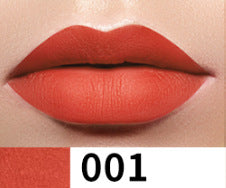 Neutral lip gloss without logo lip gloss