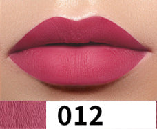 Spot non-stick cup matte lip glaze