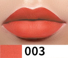 Neutral lip gloss without logo lip gloss