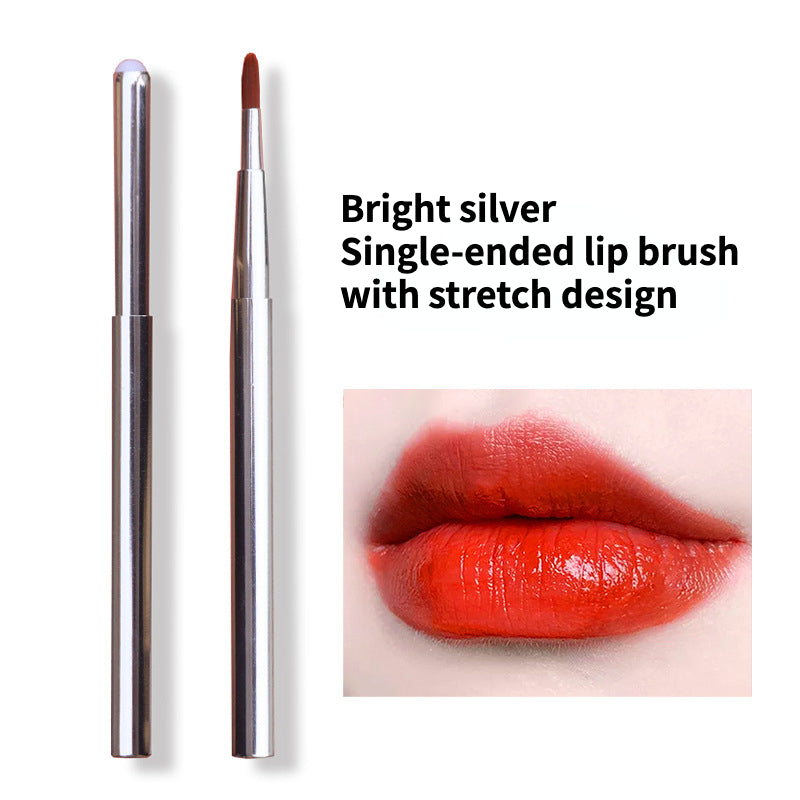 Gradient Portable Lip Brush