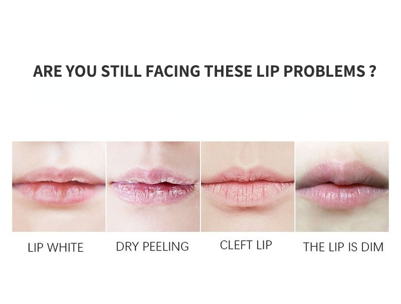 Repair moisturizing fade lip wrinkles lip plumping essence lip oil (small batch can print logo)