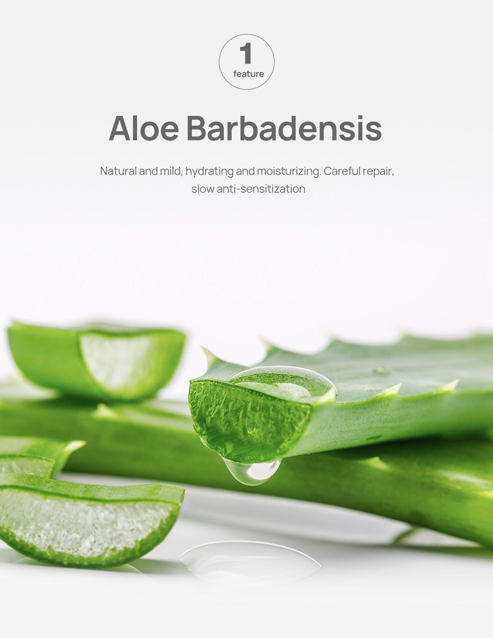 Metacnbeauty Sample  Blackhead Remover Nose Face Mask Pore Strip Tearing Black Mask Peeling Acne Treatment Unisex Deep Cleansing Skin Care