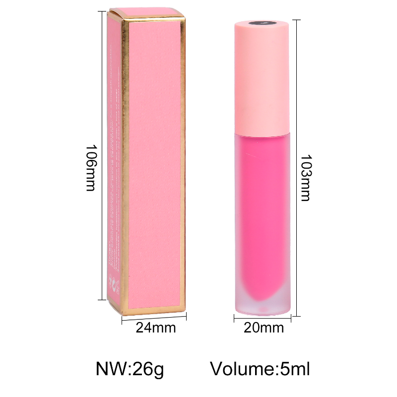 Metacnbeauty private label lipgloss pink packing size-p7