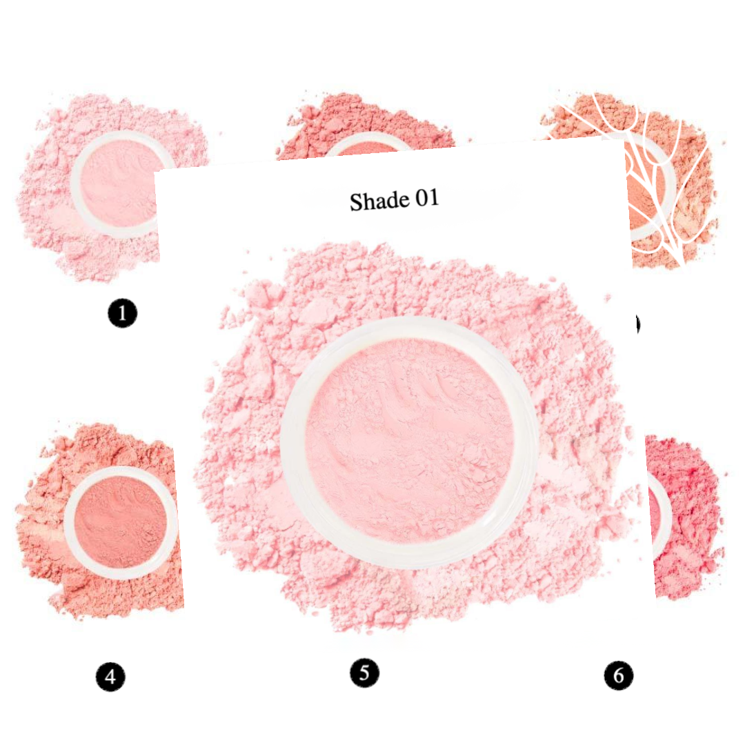 Private Label Natural Brightening Blush Loose Powder Shade01