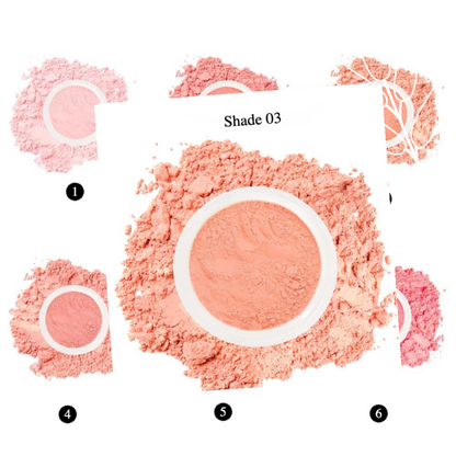 Private Label Natural Brightening Blush Loose Powder Shade03