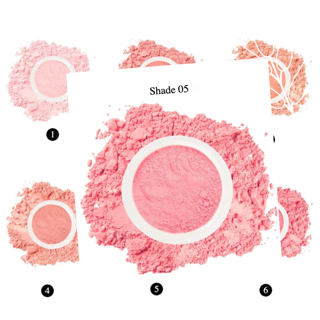 Private Label Natural Brightening Blush Loose Powder Shade05