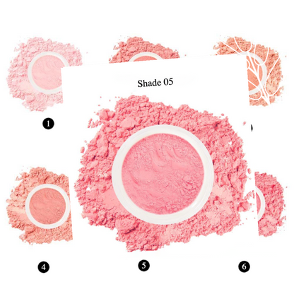 Private Label Natural Brightening Blush Loose Powder Shade05