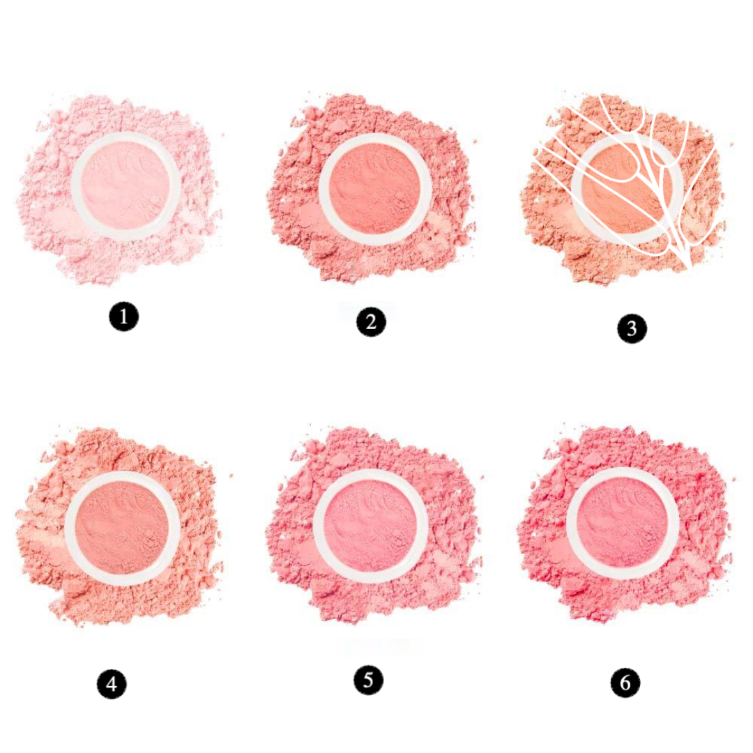 Private Label Natural Brightening Blush Loose Powder Shade Chart