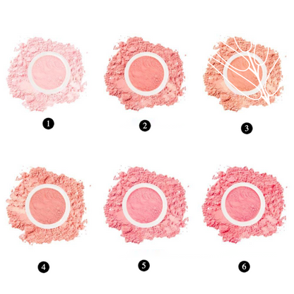 Private Label Natural Brightening Blush Loose Powder Shade Chart