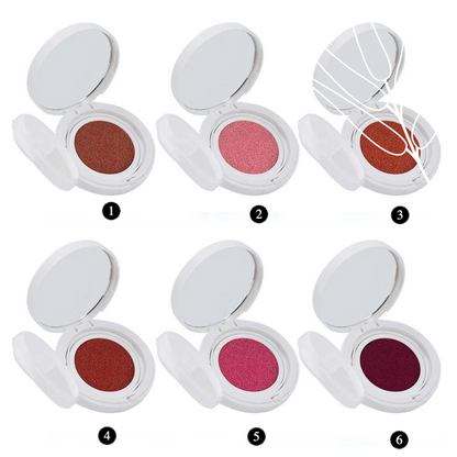 Private Label Vegan Matte Cushion Blush Shade Chart