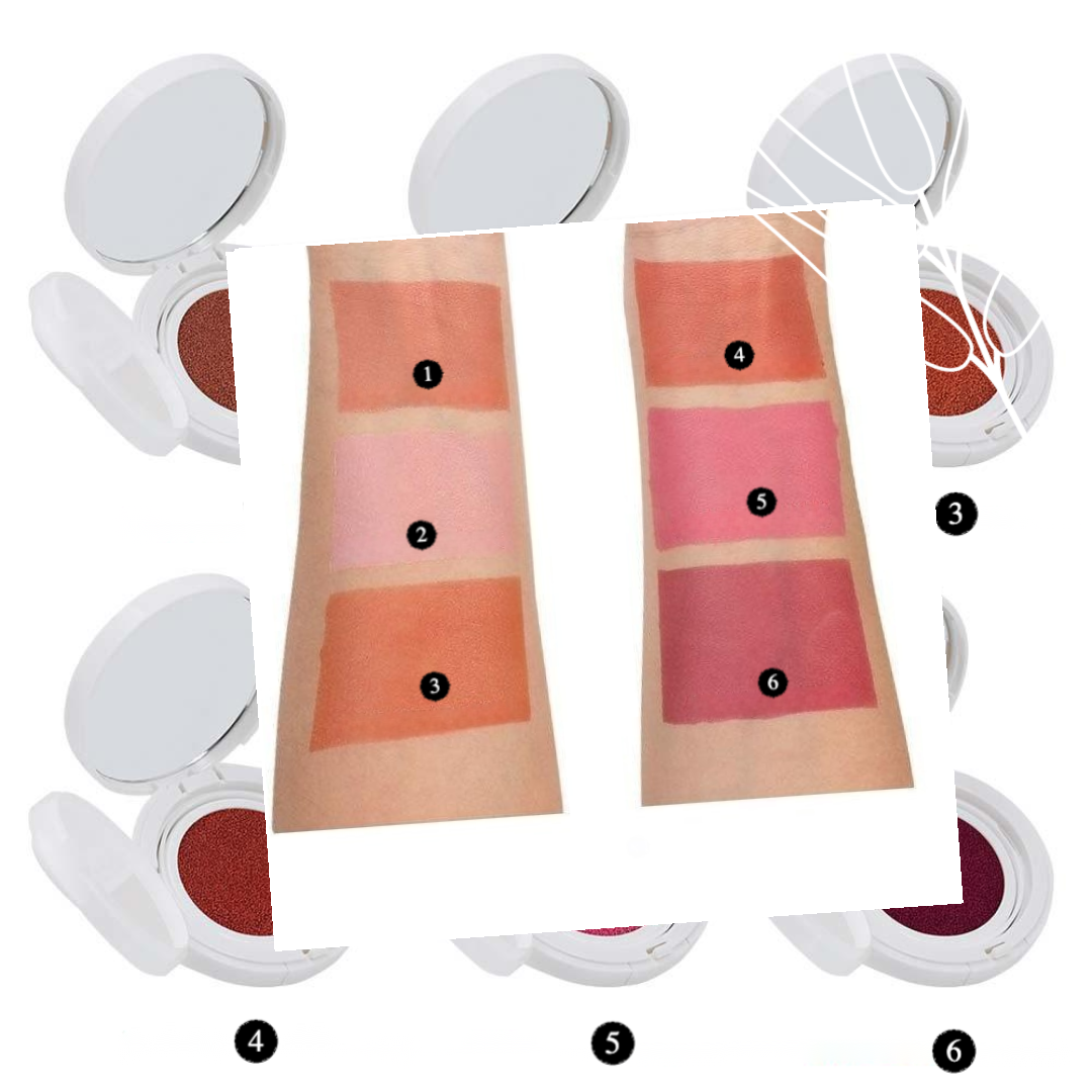 Private Label Vegan Matte Cushion Blush Shade Chart1