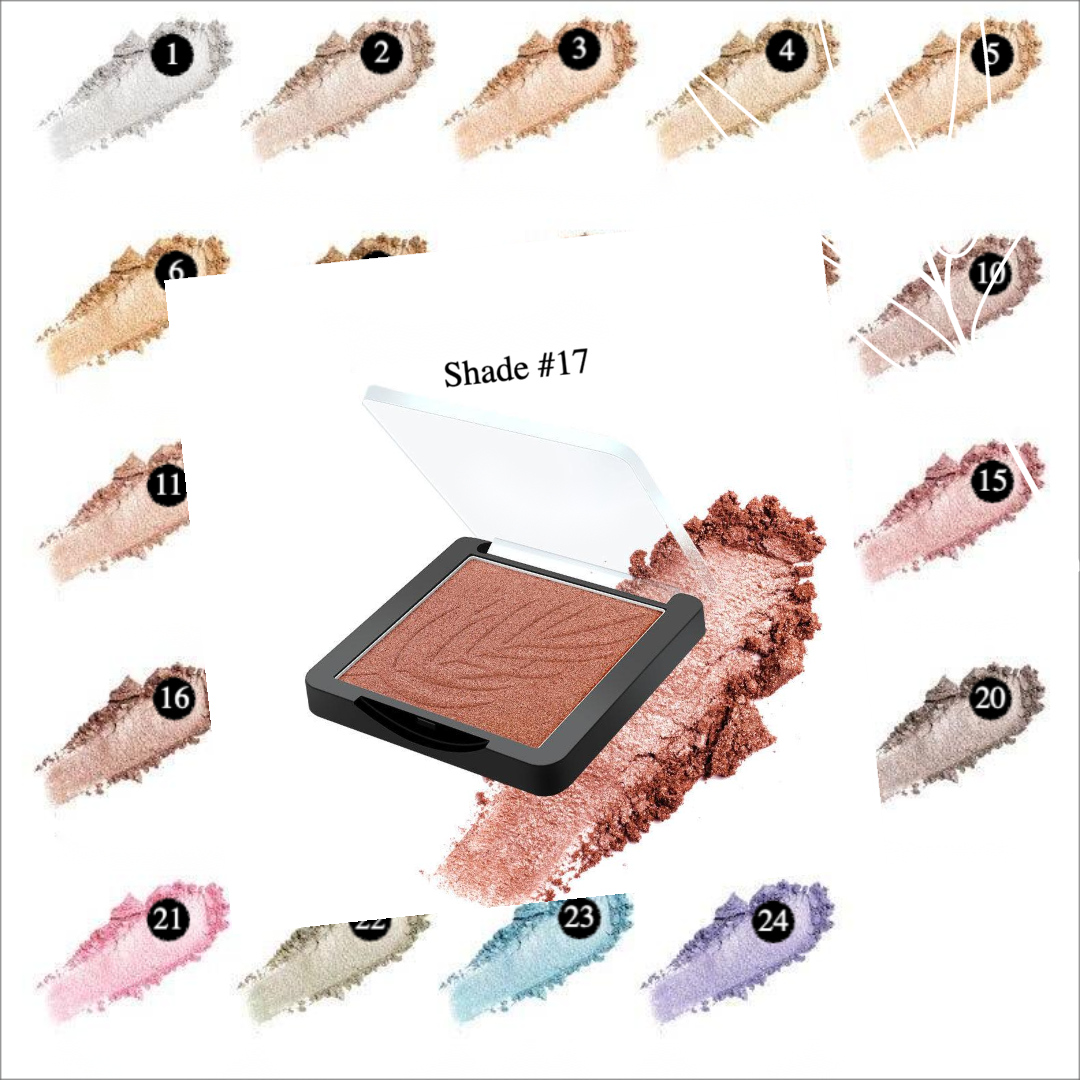 Private Label Makeup Highlighter Palette Shade 17