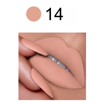 Private label matte velvet lipstick color code No.14