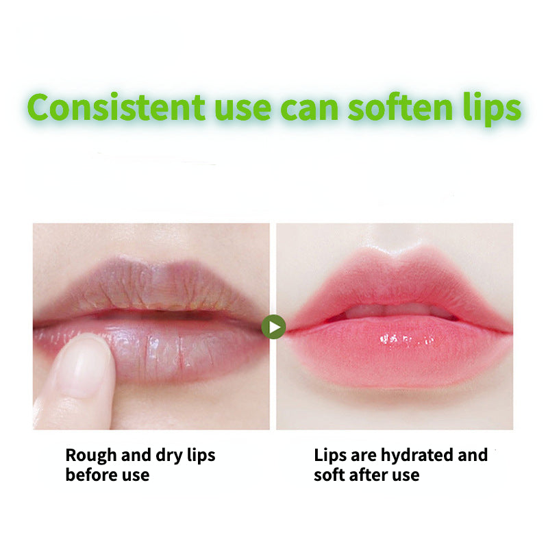 Plant essential oil moisturizing lip balm