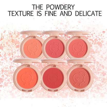 Metacnbeauty Sample New 6 Colors Blush Palette Mineral Powder